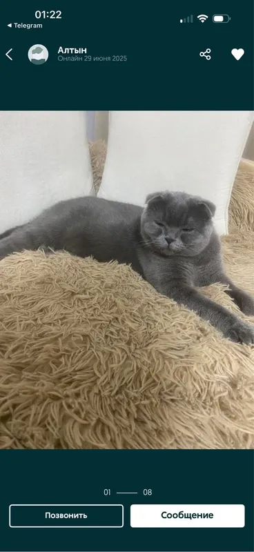 Готовятся к продаже — фото 3