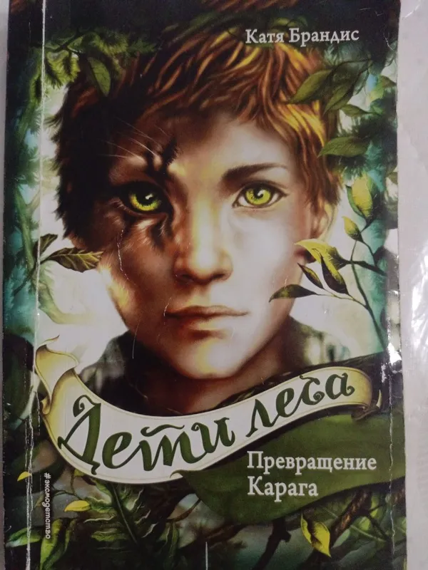 Книга Дети леса, 1 книга