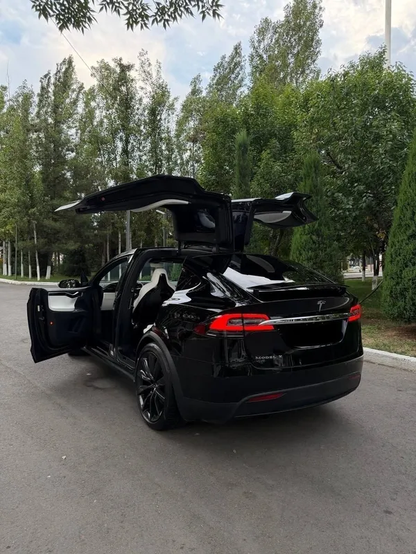 Tesla Model X Perfomance Duall Motor 2