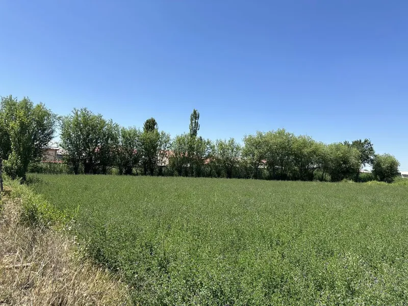 Uchastka sotiladi 1 Uchastka sotiladi 1