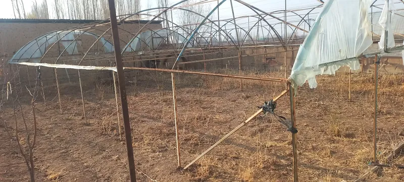Иссикхона сотилади. Варианти хам бор от, мол ва куйларга бартер бор — фото 2