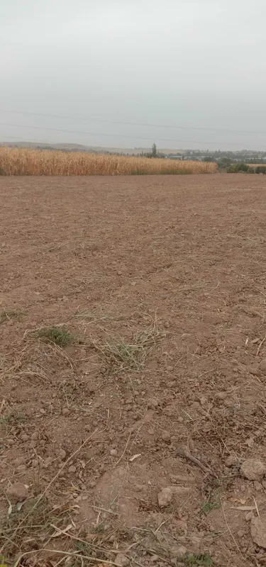 Сугориладиган ерларни ижарага бериш. Аренда поливной земли