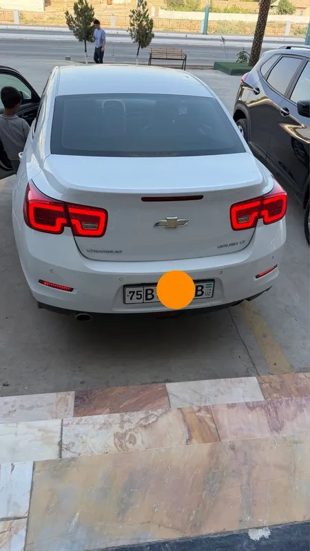 Malibu 1 2013 yil 2 pazitsa lyuki bor 3 Malibu 1 2013 yil 2 pazitsa lyuki bor 3