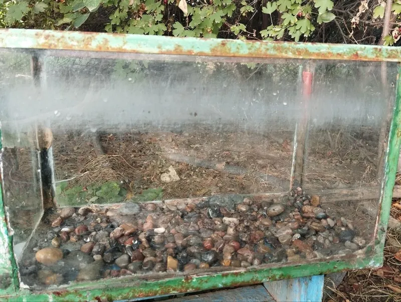 Продаётся аквариум 2