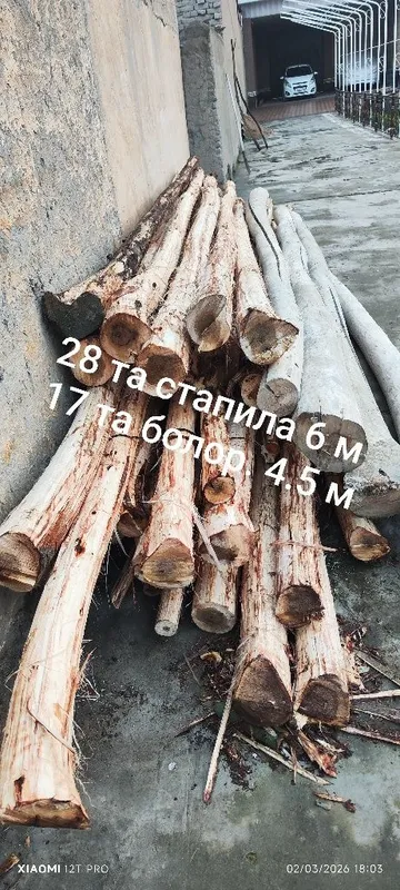 Болор страпиллар