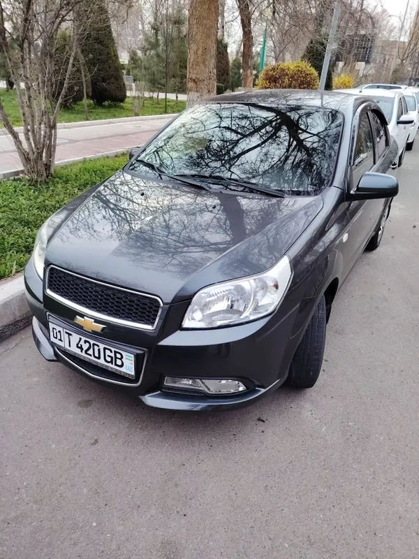 Nexia 3 toza radnoy kraskada 3