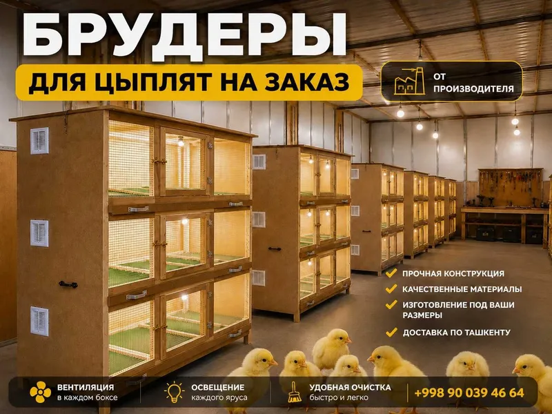 Многоярусные БРУДЕРЫ для цыплят