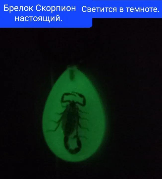 Брелок скорпион настоящий светит в темноте,новый. 2