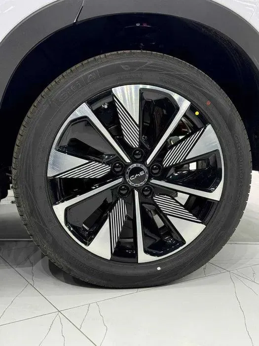 BYD Champion 605km 4