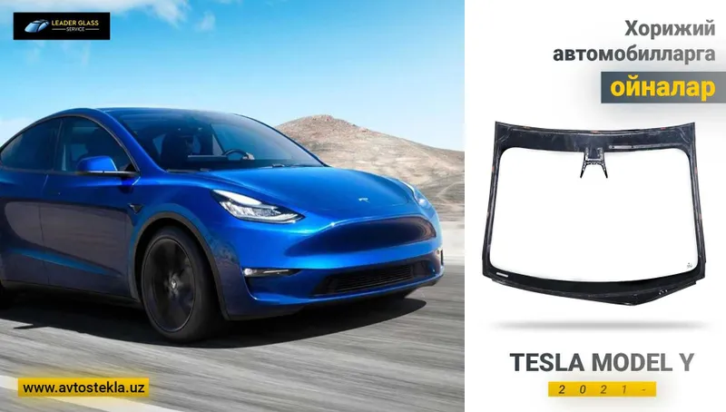 Lobovoy Oyna Tesla Modul Y 2021