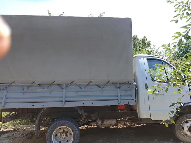 Газель сотилади белый! 1 Газель сотилади белый! 1