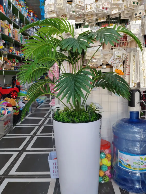 Dekarativniy Palma.Balandligi1,15 bu gulimiz suniy 1 Dekarativniy Palma.Balandligi1,15 bu gulimiz suniy 1