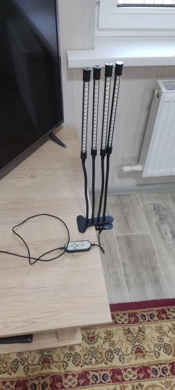 fitolampa sotiladi 7