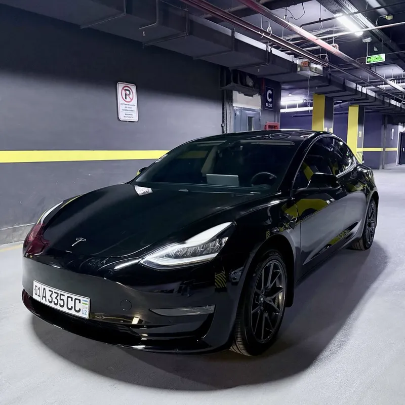 Tesla Model 3 Standart Plus 2020 USA