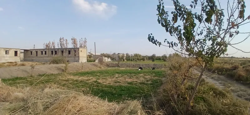 Хаммасига гарантийа — фото 1