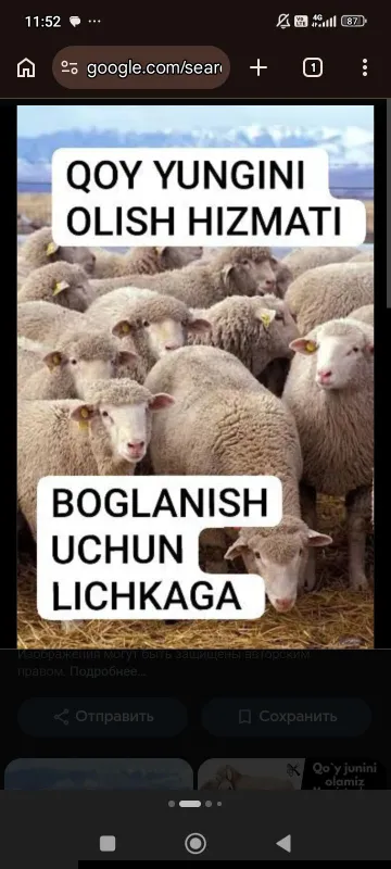 Qõy yungini olish xizmati