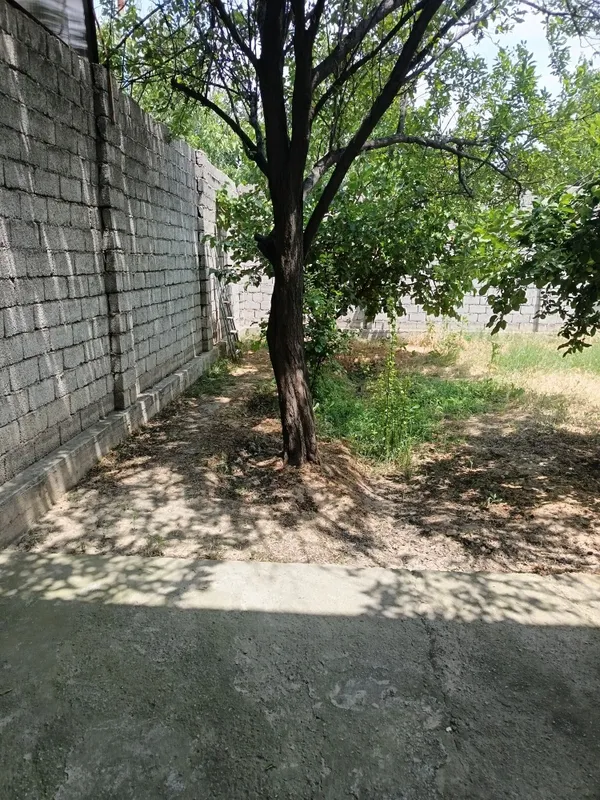 Юусобод туман Хасанбой Масжид куча 1 сотих 2 хона — фото 2