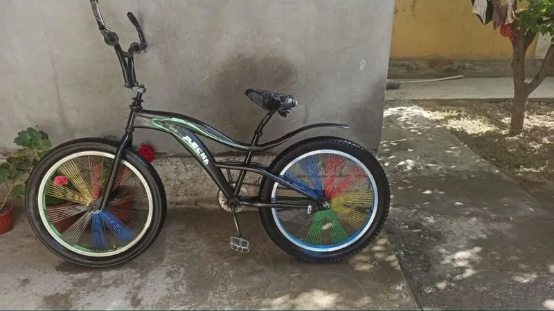 Десна Velosiped 24 1