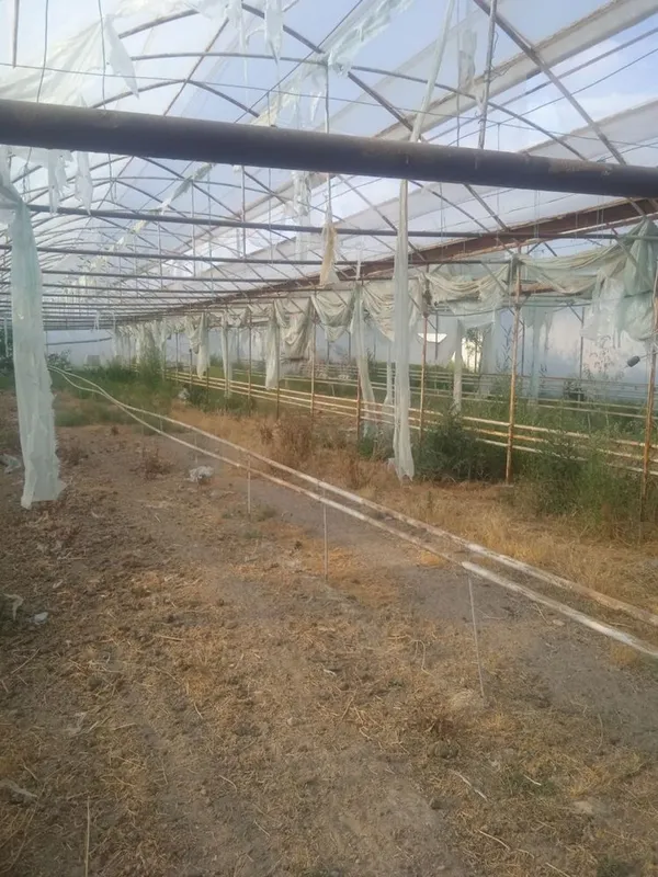 Продаётся теплица, парник. 3