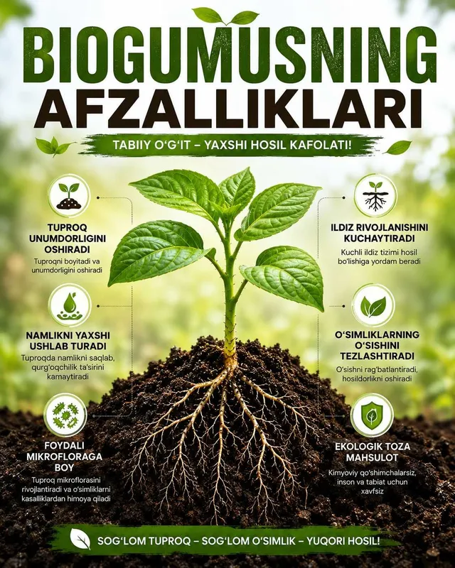 BIOGUMUS – bog‘ va tomorqa uchun tabiiy organik o‘g‘it — фото 1