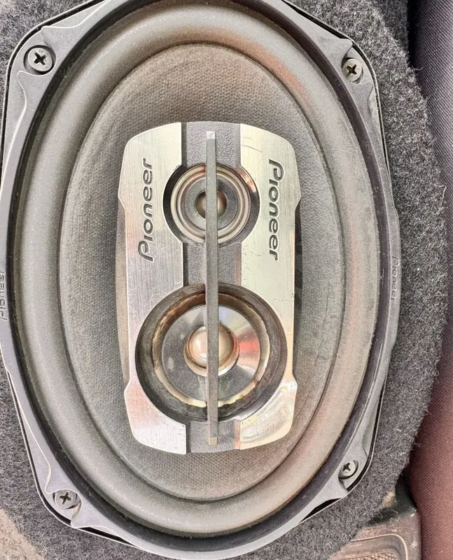 Pioneer champion 3