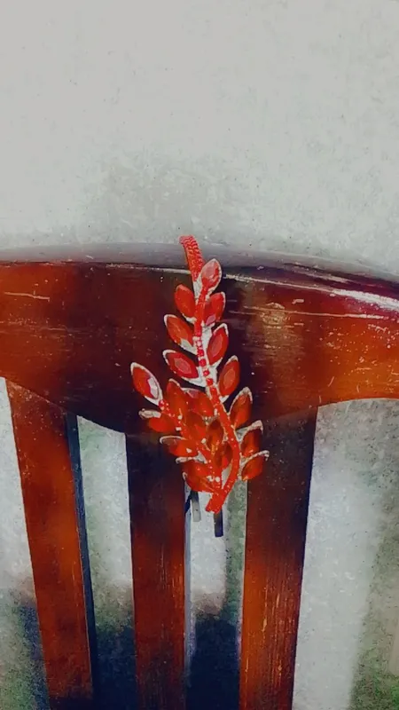 diadema