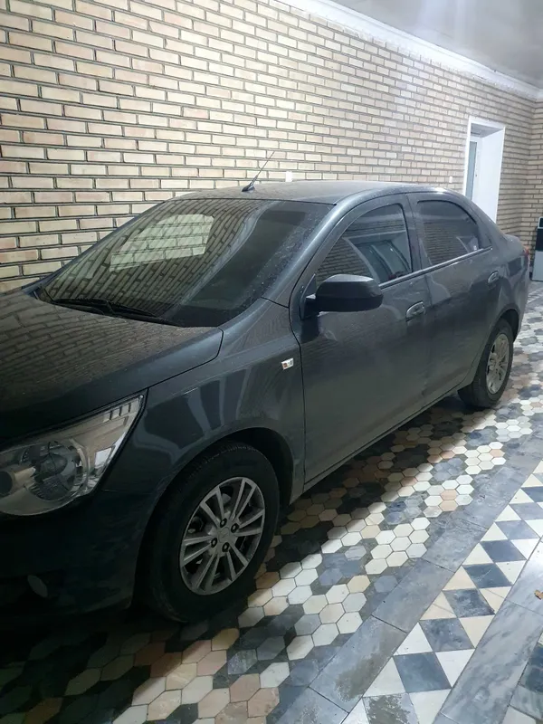 Кобольт сотаман.2023