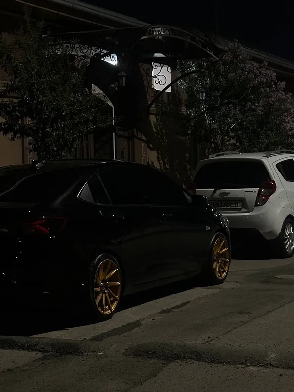 Diska balon vossen 17 razmer 2 Diska balon vossen 17 razmer 2