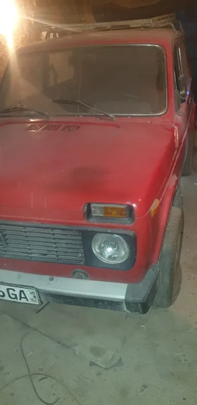 Niva sotladi 1981