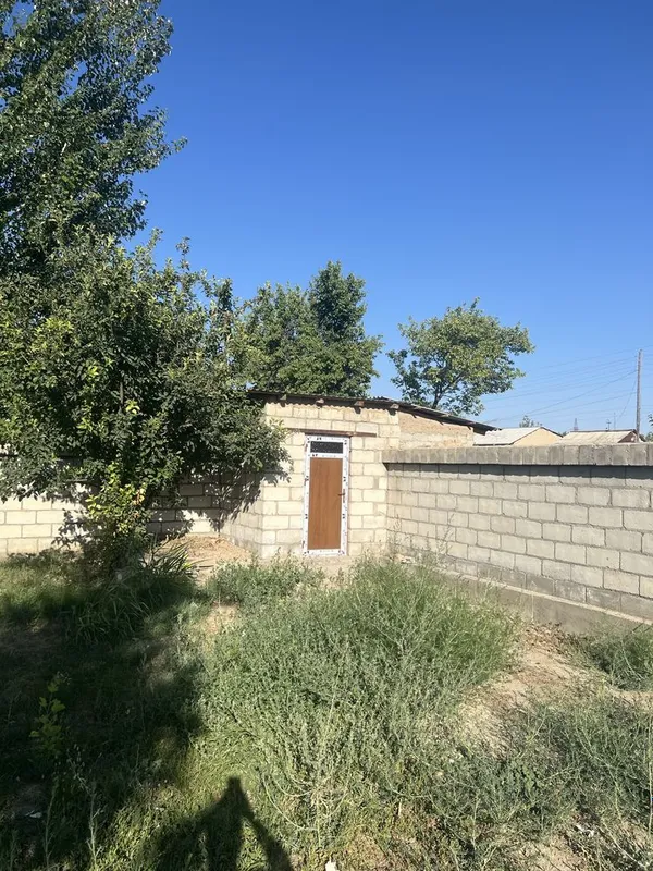 Дача Общество Восход Навоийская область Карманинский район 3 Дача Общество Восход Навоийская область Карманинский район 3