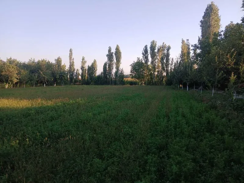 Диккат уй сотилади — фото 6