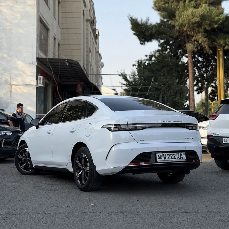 Byd chazor 3 позиция — фото 3