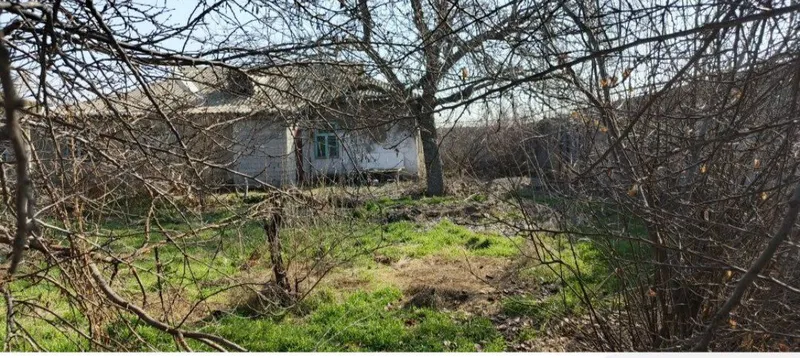 Тошкент в. Юкори Чирчик А.Яссавийда Ховли сотилади — фото 1