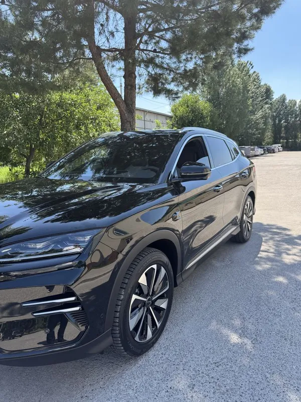 Byd chempion smart — фото 1