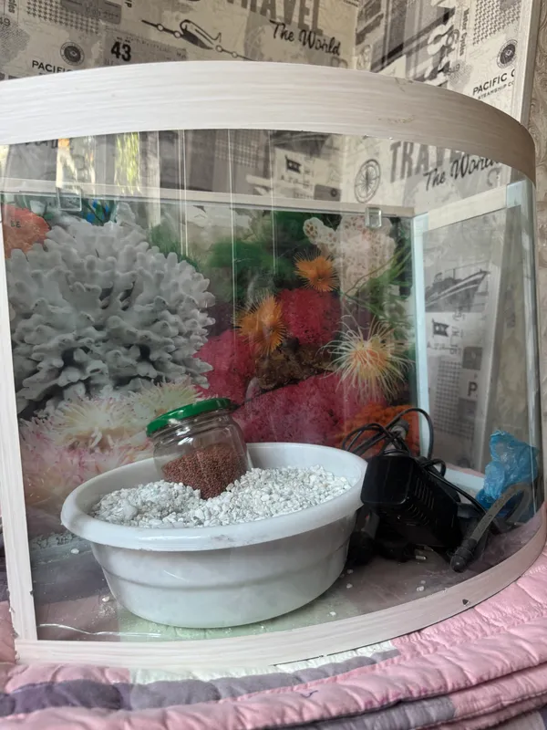 Ozuqa va suv osti toshlari bilan akvarium sotaman 2 Ozuqa va suv osti toshlari bilan akvarium sotaman 2