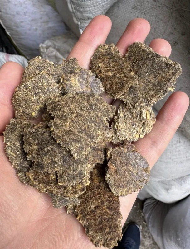 Hamyonbop kunjara