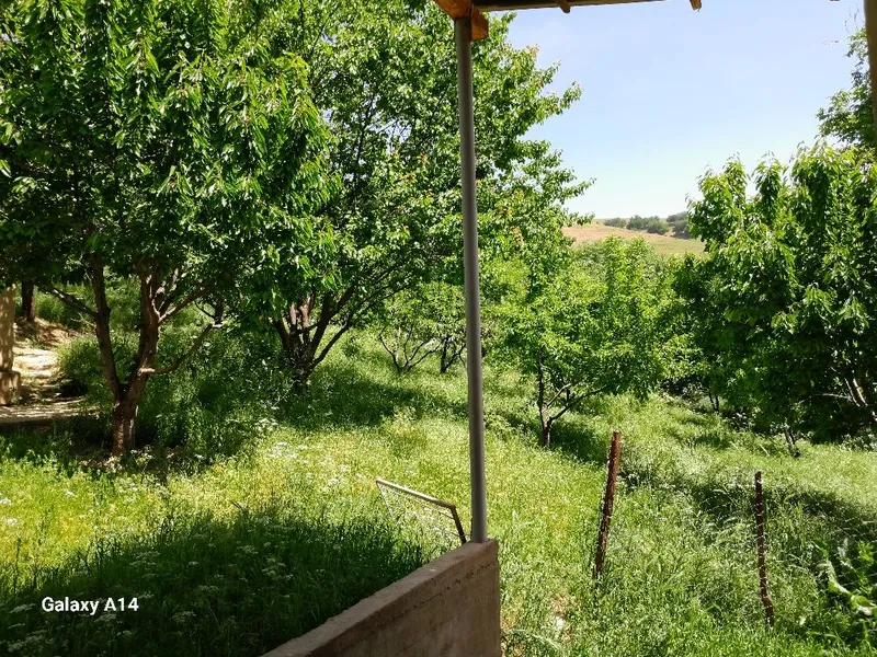 Галавасой паселкаси Тогизкол кучаси 8 чи уй котта ховли уй 24 сотик — фото 3
