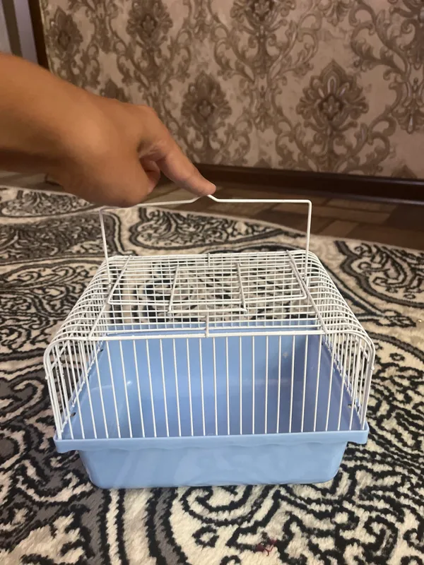 Kemiruvchilar uchun kletka 1 Kemiruvchilar uchun kletka 1