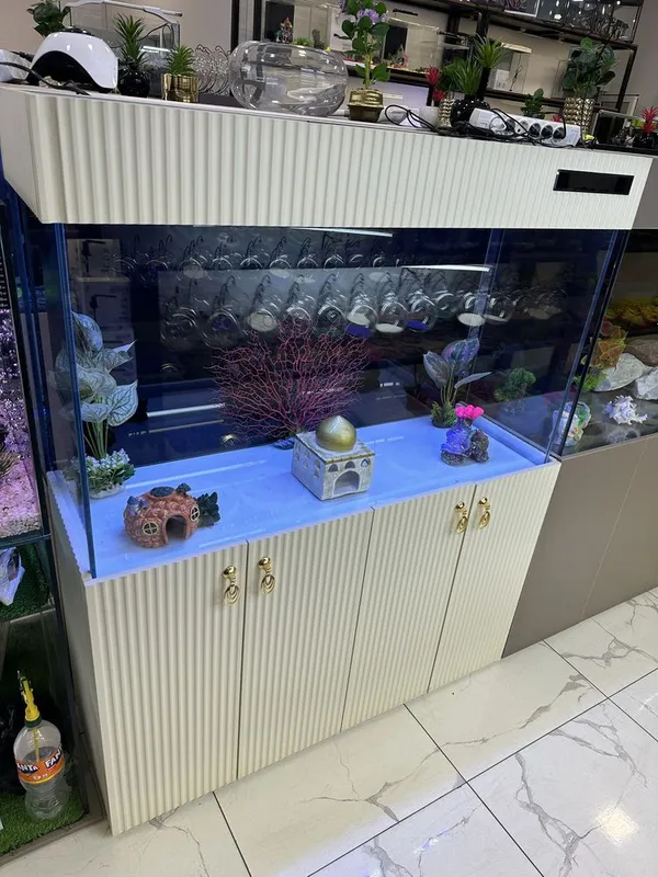 Akvarium Kirashiniy 120 sm