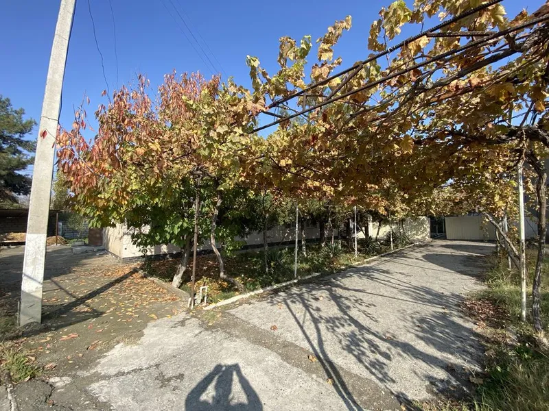 25 сотих ер сотилади 1 сотихи бинолар билан 7.500$ — фото 5