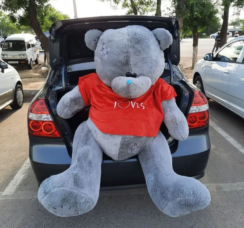 Teddy+teddy+Dastavka+Magazin
