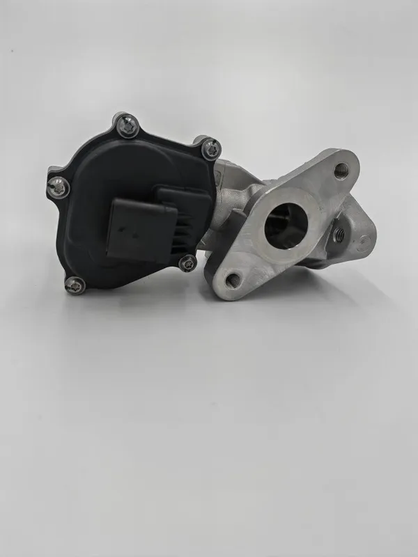 BYD EGR kalpan клапан EGR