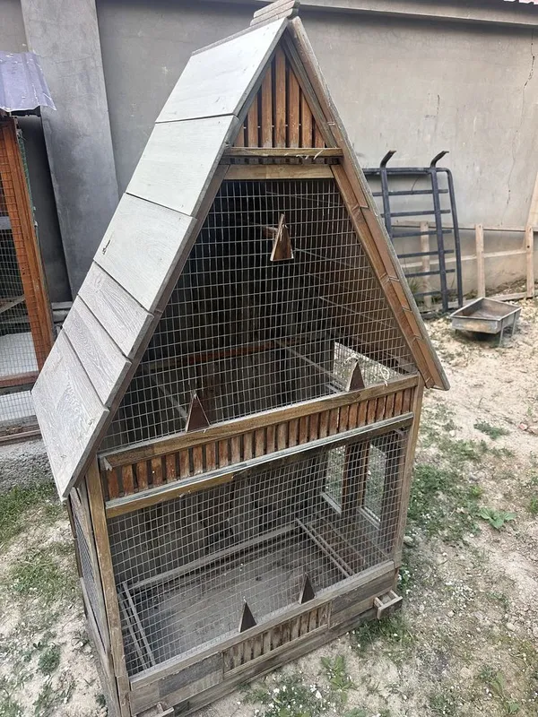 To’ti va yapon tovuq uchun sifatlik katak 1 To’ti va yapon tovuq uchun sifatlik katak 1