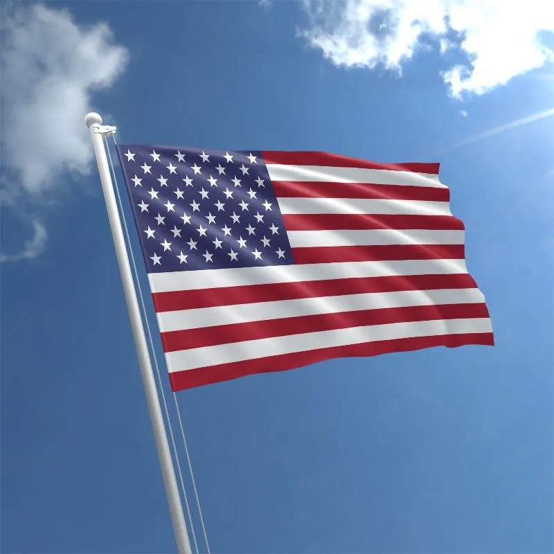 Виза в Америку,B1/B2 и любые визы в США