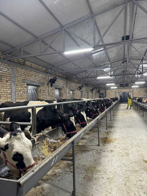 Продается Ферма действующая в Районе Босув SH83 — фото 3