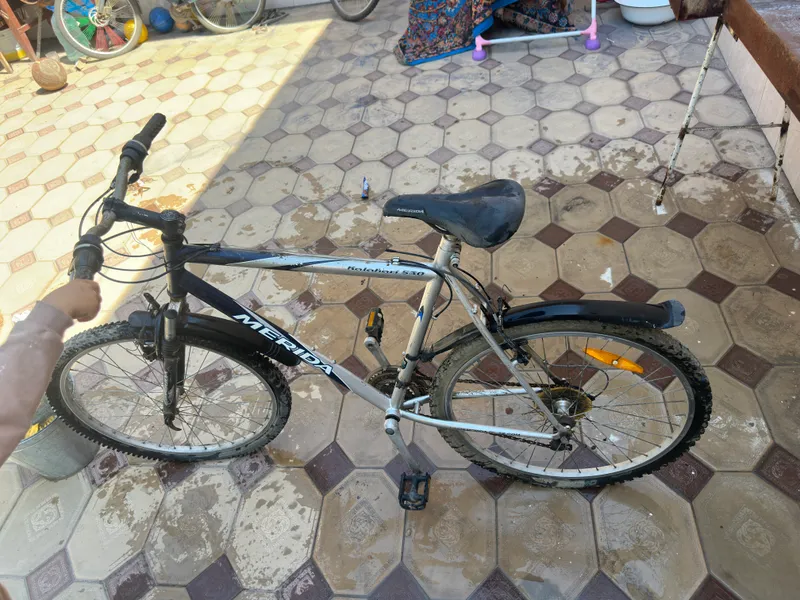 Velosipedlar
