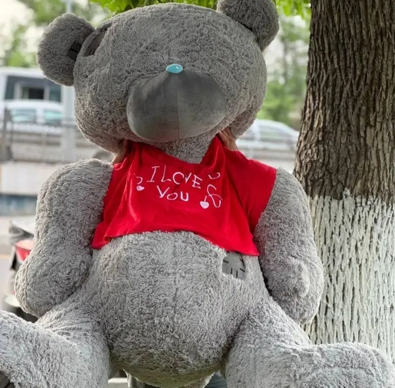 Медведь Teddy тедди 2 Медведь Teddy тедди 2
