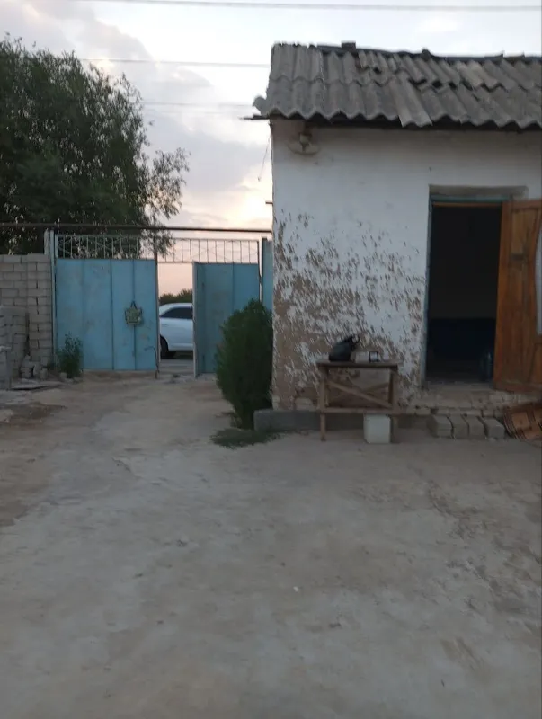 Bektemir tumani Mexnatobod kochasi 2
