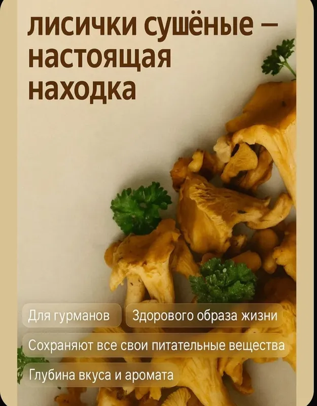 Quritilgan qo‘ziqorinlar — lisichkalar 2