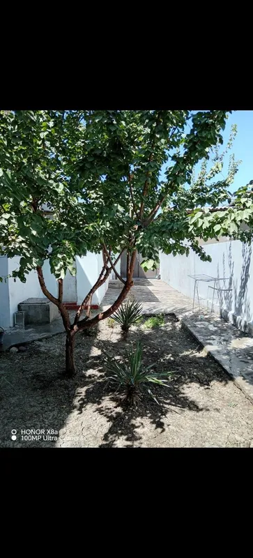Ijaraga xovli beriladi 4 Ijaraga xovli beriladi 4
